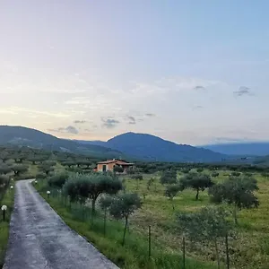  Villa L'ulivo Burgio